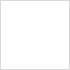 Logo Pratik Etik